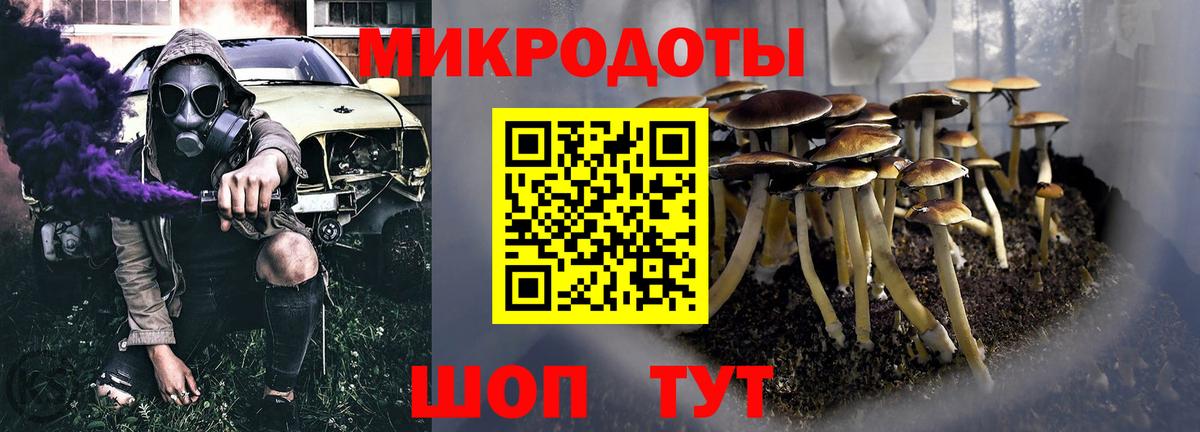Ржев  Галлюциногенные грибы Psilocybine cubensis  Вход с VPN 